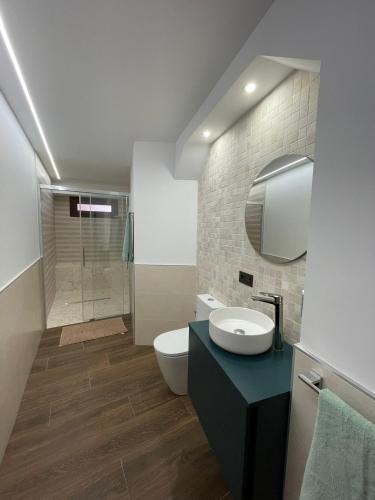 a bathroom with a toilet and a sink and a shower at SEVIHOUSE Casa Vicente in Hospital de Órbigo
