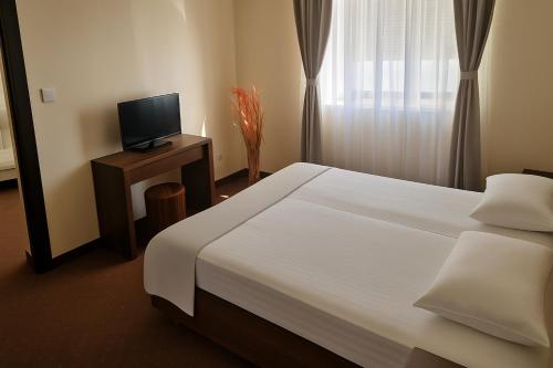 a bedroom with a large bed and a television at Pensiunea Luca in Baile Felix