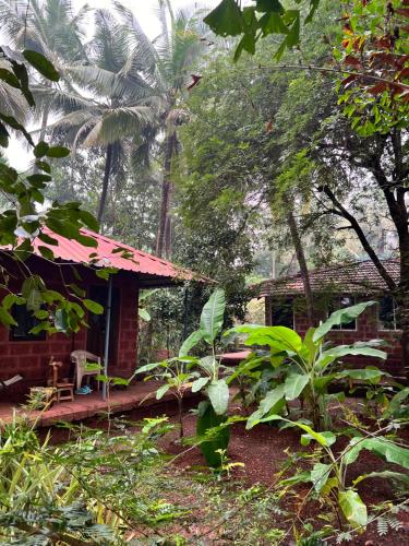 a house in the middle of a forest at Atithi Parinay Homestay in Ratnagiri