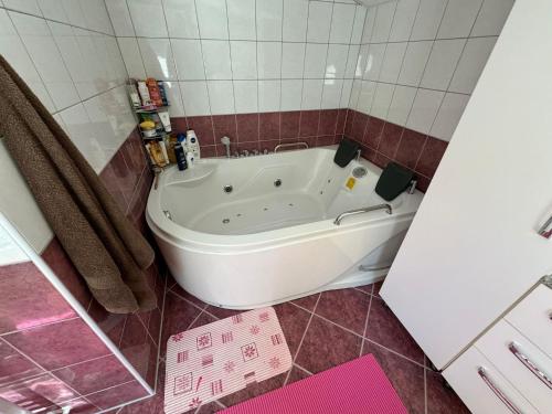 Ένα μπάνιο στο Vila Tisina Sarajevo