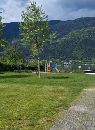 ホリデーパークの近くで見られる自然の景観