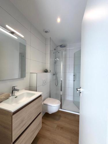 une salle de bain avec un lavabo, des toilettes et une douche dans l'établissement M112 Marquer Superbe T4 spacieux avec balcon et parking, proche de Genève, à Gaillard