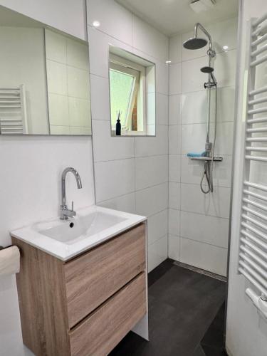 Ένα μπάνιο στο Bungalow Vlinderstruik - Vakantiepark De Kremmer
