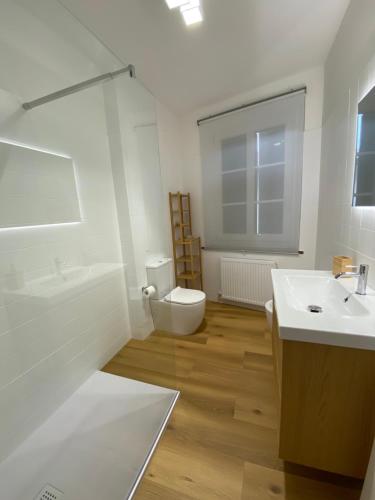 a white bathroom with a toilet and a sink at Affittacamere Torrione in Venzone