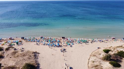 Φυσικό τοπίο κοντά σε αυτό το ξενοδοχείο