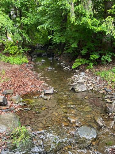 a stream of water with rocks and trees at ATC Kemp Kajlovec in Hradec nad Moravici