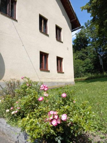 a building with pink roses in front of it at Kuća Knežević in Mlječanica