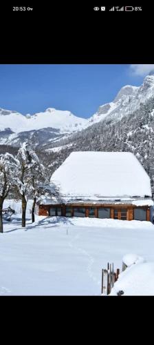 Guest hause 1