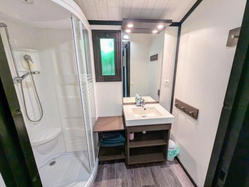 une salle de bain avec un lavabo et une douche dans l'établissement Cottage nature, clim, piscine, à Solliès-Toucas