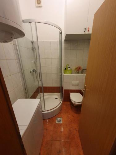 a small bathroom with a shower and a toilet at Apartment Goga in Cres
