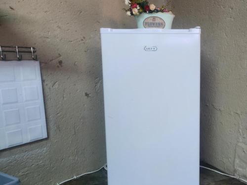 a white refrigerator next to a wall with a potted plant at Beach Island Graskop in Graskop