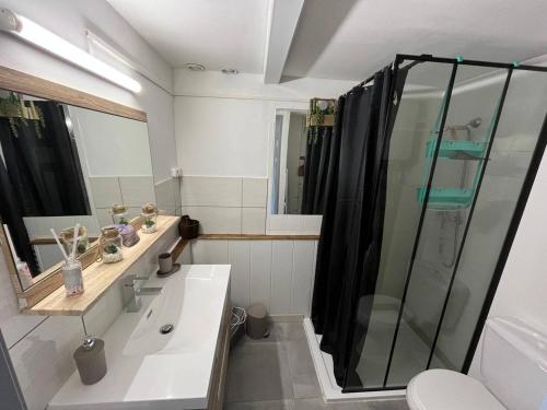 La salle de bains est pourvue d'une douche et d'un lavabo blanc. dans l'établissement Pavillon Beau Soleil à Narbonne Plage, à Narbonne-Plage
