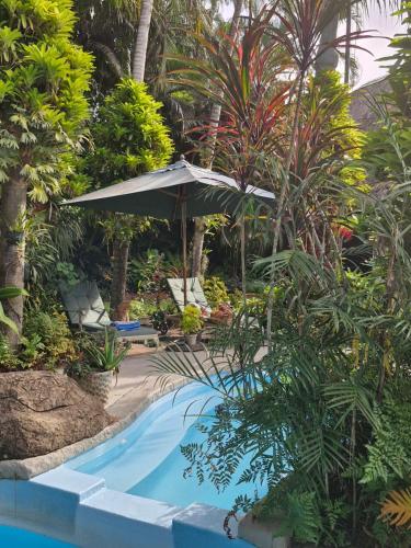 a swimming pool with an umbrella and palm trees at African Ambience Guest House in St Lucia