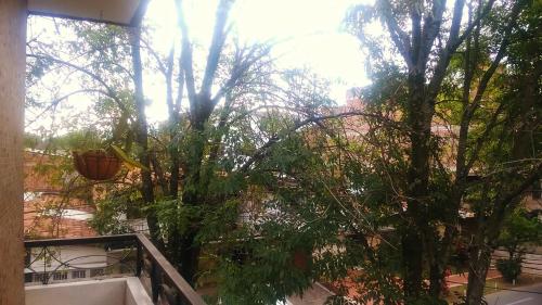 a view from the balcony of a garden with trees at Selvática Alojamiento Eco in Medellín