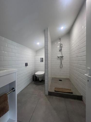une salle de bain blanche avec douche et toilettes dans l'établissement Appartement 5 pièces Cannes, à Cannes
