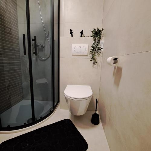 Koupelna v ubytování Apartman Liam