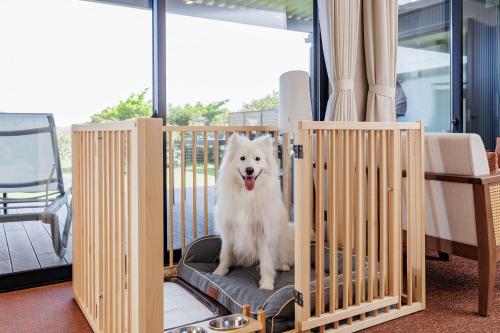 a white dog sitting in a dog crate at KAMENOI HOTEL Kujukuri in Asahi
