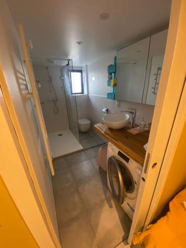 une salle de bain avec un lavabo et une machine à laver dans l'établissement T3 rez de jardin, à Pornichet
