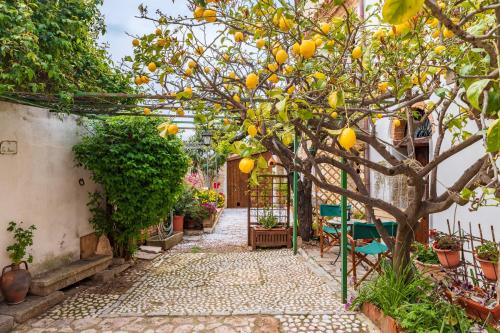 Taman di luar Il Borgo - Casa Ottocentesca