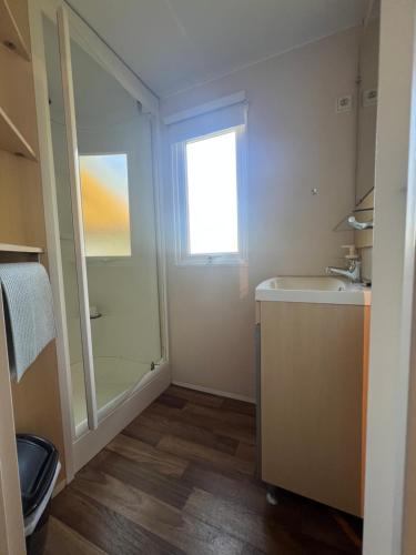 une salle de bain avec un lavabo et un miroir dans l'établissement N004 - L'Ecrin de Verdure - climatisé - TV - proche Europa Park, à Boofzheim