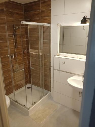 a bathroom with a shower and a sink at Hotel Sowa in Elblag