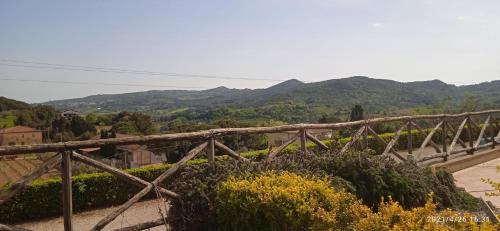 Φυσικό τοπίο κοντά σε αυτό το διαμέρισμα