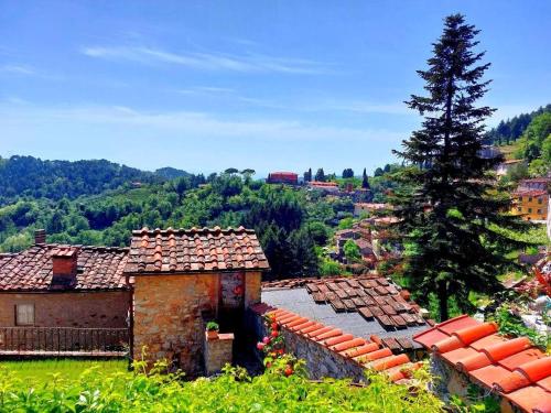 an old building with a tree on a hill at La Casa dell'Affinatore in Gombitelli