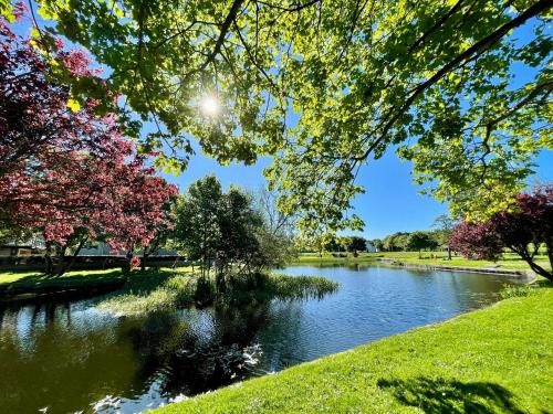 a view of a river in a park with trees at Bright, Spacious 5-Bed, 4-Bathroom home on Loch Soy in Portsoy