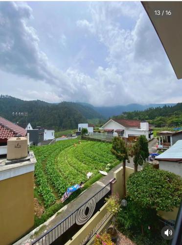a view from the balcony of a house with a field of crops at Villa Kusuma Tawangmangu in Tawangmangu