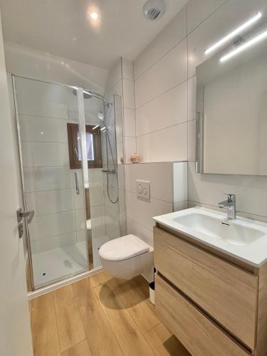 une salle de bain avec toilettes, lavabo et douche dans l'établissement M114 Marquer Magnifique T2 avec parking aux portes de la douane de Moillesulaz, à Gaillard