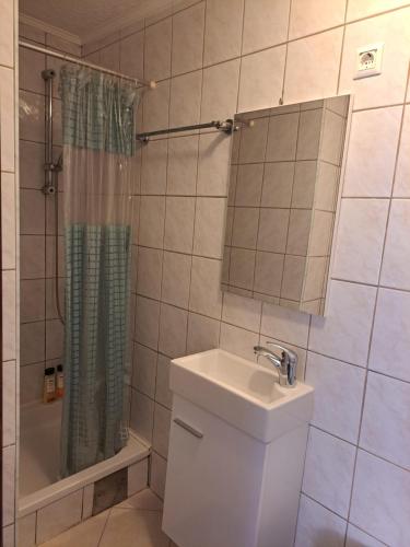 a bathroom with a toilet and a sink and a shower at Apartmani Konta in Livno