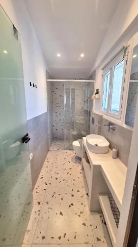 a bathroom with a shower and a toilet and a sink at Tonea's Houses in Himare