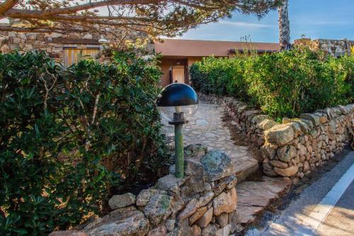 App Porto Rotondoにある庭