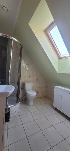 a bathroom with a toilet and a shower and a sink at Apartamenty Liliowy Zakątek in Dębki