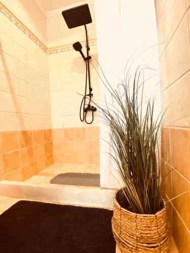 a bathroom with a shower with a plant in it at KIPOS-SS residences in Dassia
