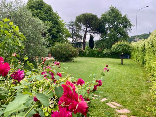 Pozzo Di Mezzo B&B photo 50