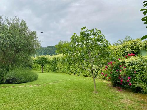 Pozzo Di Mezzo B&B photo 52
