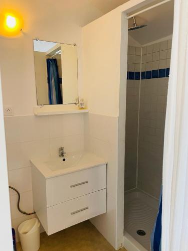 une salle de bain blanche avec un lavabo et une douche dans l'établissement Loft Petit Verdot, à Teuillac