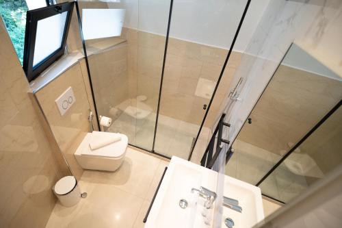 a bathroom with a toilet and a shower and a sink at Bujtina Harusha in Theth