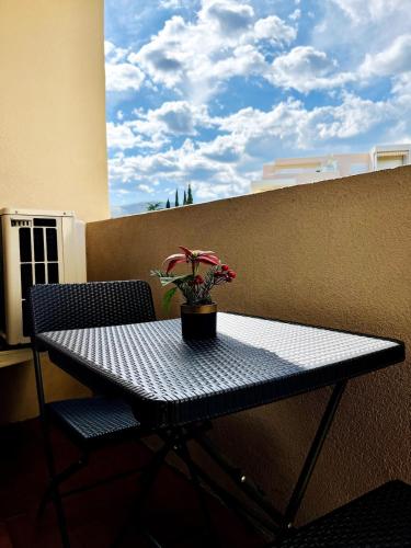 a table with a potted plant on a balcony at Studio proche plage et centre-ville in Sainte-Maxime