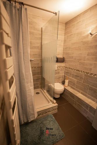 une salle de bain avec toilettes et douche en verre dans l'établissement Calme et Confort au Stockfeld, à Strasbourg