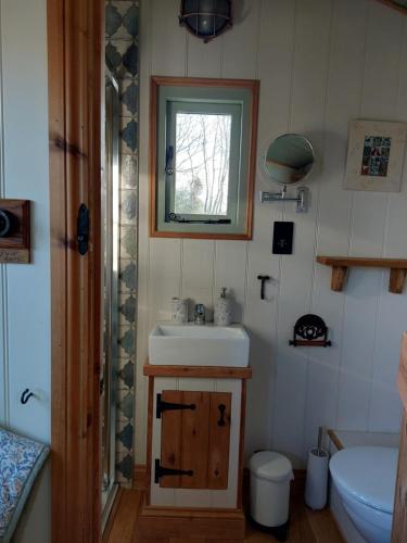 a small bathroom with a sink and a window at Steam and Stars Luxury Glamping in Williton