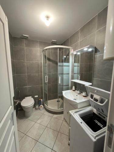 un bagno con doccia, WC e lavandino di Appartement BASTIA a Toga