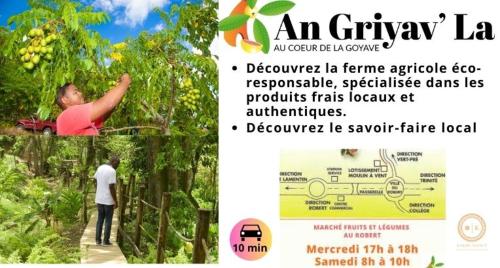 a flyer for an amazon league with a man in a tree at Ti Ben - Jacuzzi Privatif Jardin Tropical - Le Robert in Le Robert