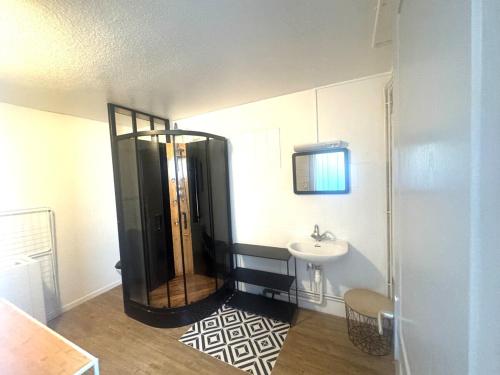 une salle de bain avec douche et lavabo dans l'établissement Grand appartement centre-ville, à Belfort