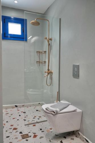 a bathroom with a toilet and a glass shower at Apágkio Filoxenia in Archangelos