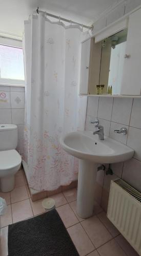 a bathroom with a sink and a toilet and a mirror at Sunset Apartments in Mesolongion