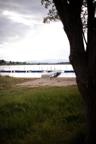 a view of a beach with a dock in the water at Apartmán u břehu Lipna se zahradou in Černá v Pošumaví