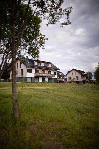a group of houses in a field with a tree at Apartmán u břehu Lipna se zahradou in Černá v Pošumaví