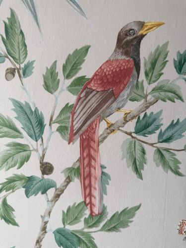 a bird sitting on a tree branch on a wall at Perryville House in Kinsale